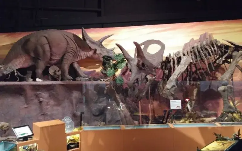 Naranja Museum-Natural History