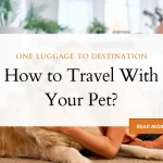 How to Travel With Your Pet?
