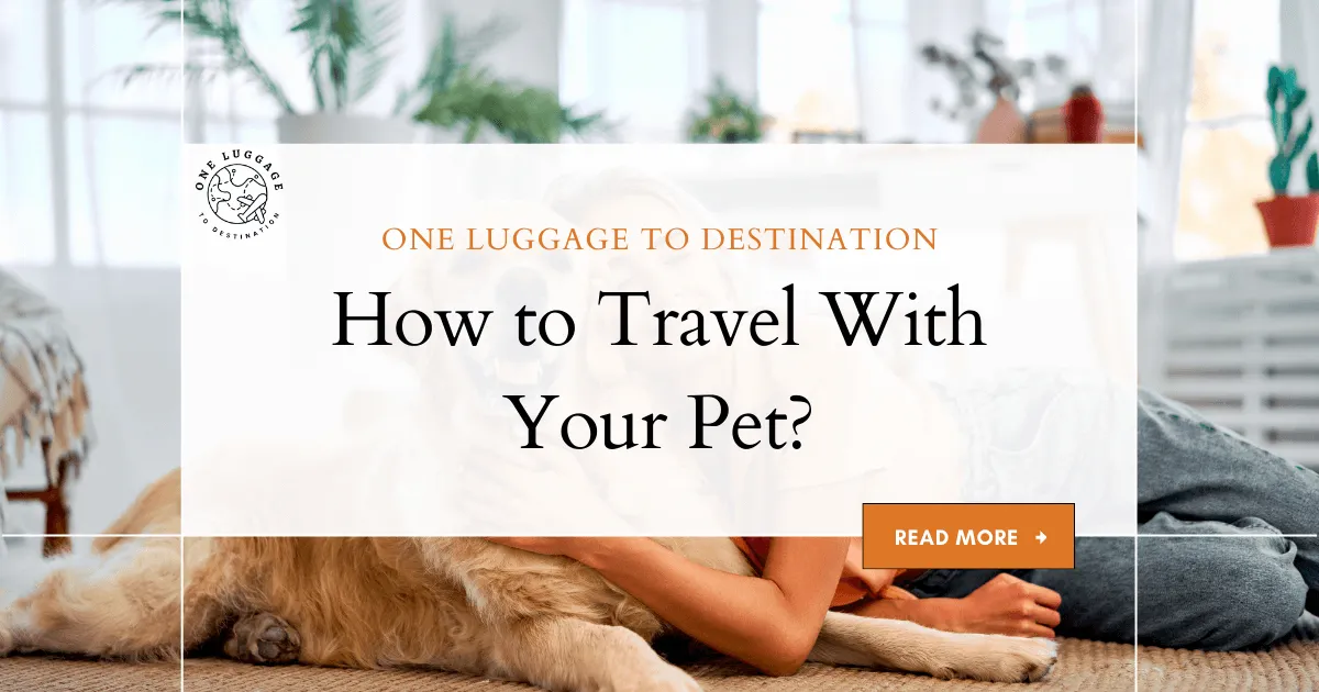 How to Travel With Your Pet?